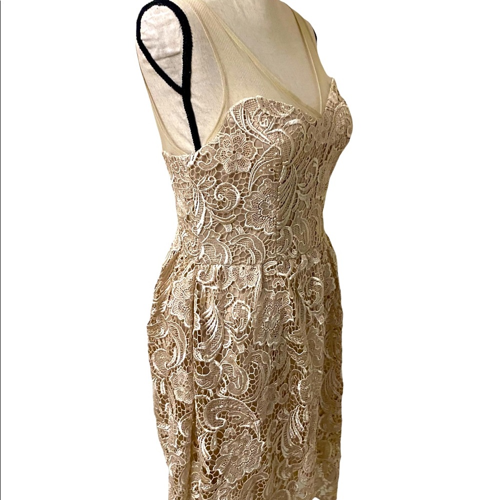 ADRIANNA PAPELL Lace Illusion Midi Size 4 - Picture 5 of 15